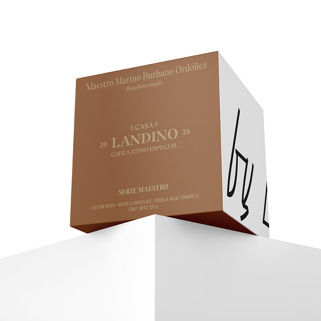 Maestro Marino Burbano Ordoñez