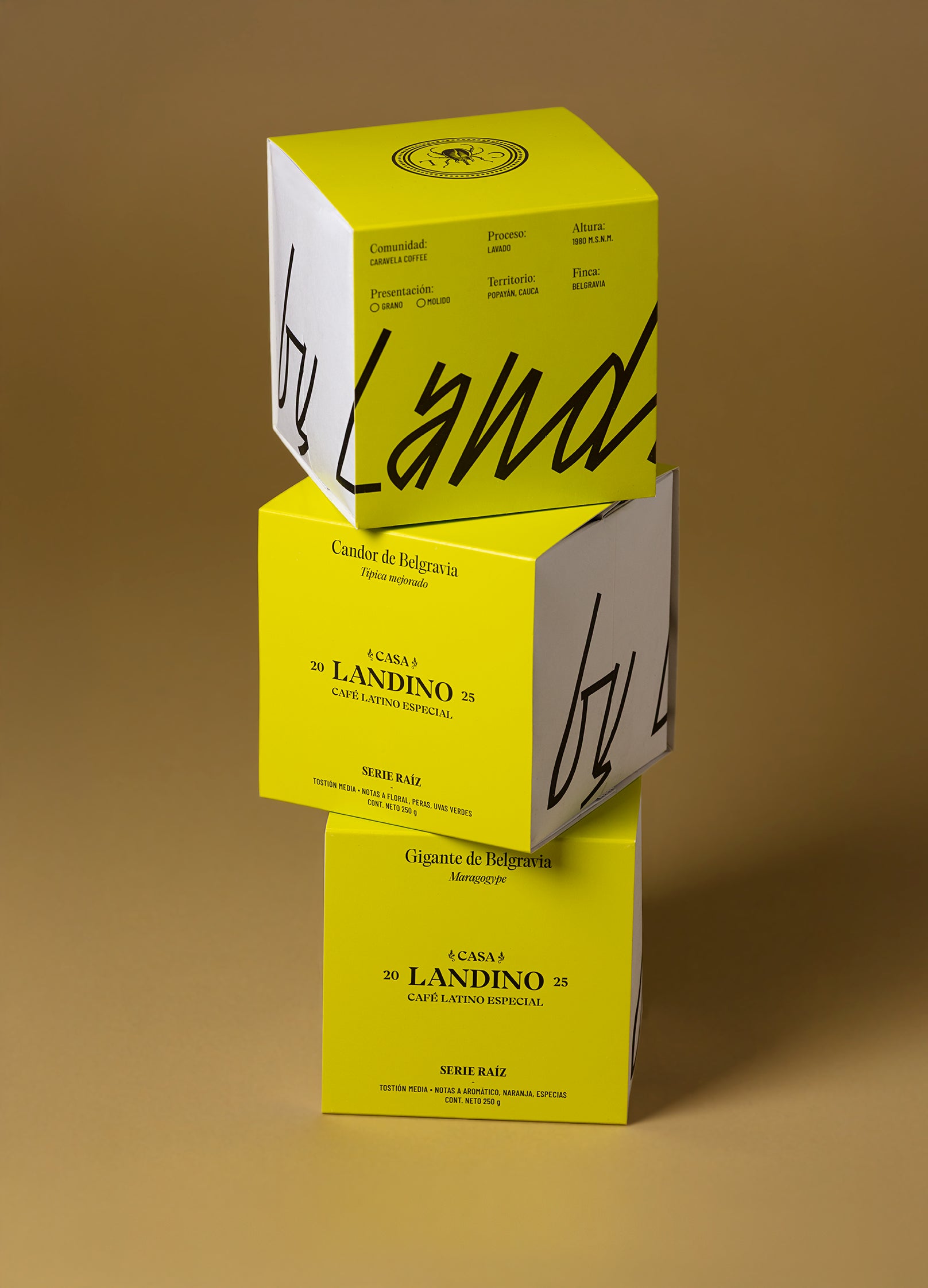 café bourbon rosado precio café bourbon rosado precio que es un cafe de origen mejor cafe instantaneo colombia mal rosado en cafe