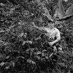 PRE VENTA - Trilogia José Manuel Cantillo