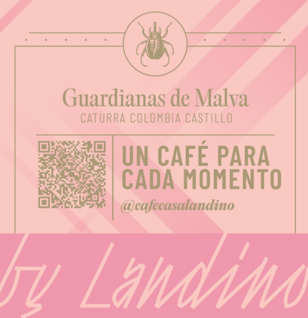 Sachets de café de especialidad Casa Landino — 18 g