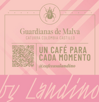Sachets de café de especialidad Casa Landino — 18 g
