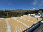 The Fermentation Project by James Hoffmann x Casa Landino