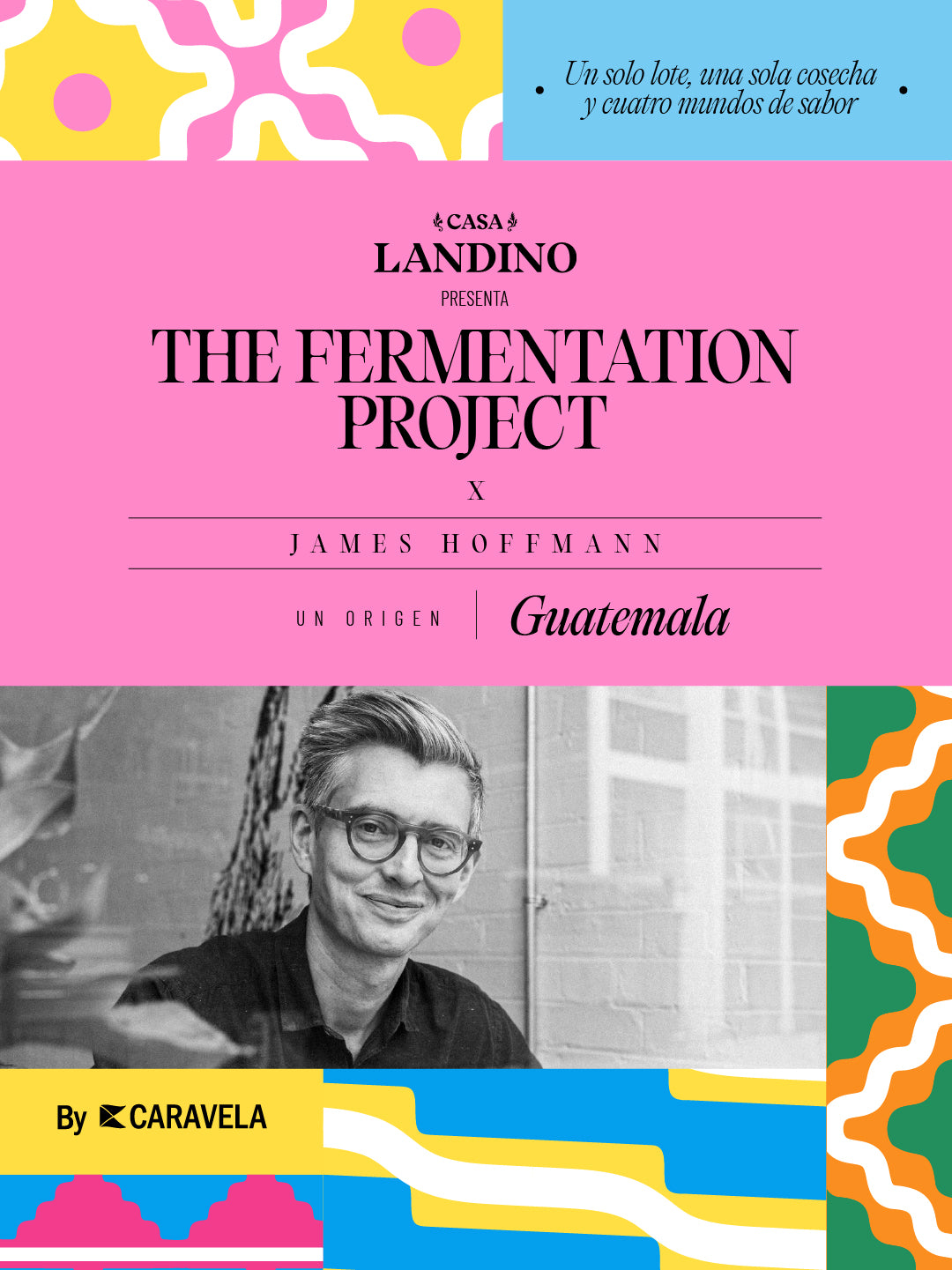 The Fermentation Project Bundle Simple