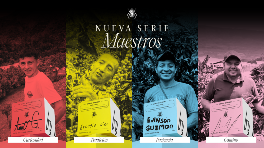 KIT MAESTROS BUNDLE