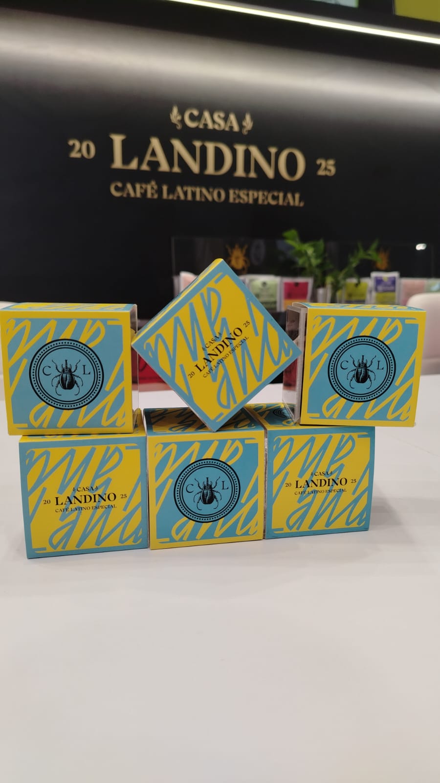 Café Peaberry Casa Landino — Cubo acrílico de 60 g