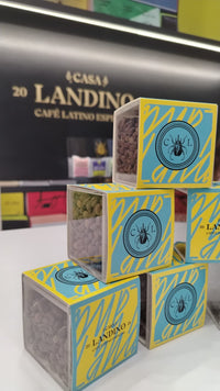 Café Peaberry Casa Landino — Cubo acrílico de 60 g
